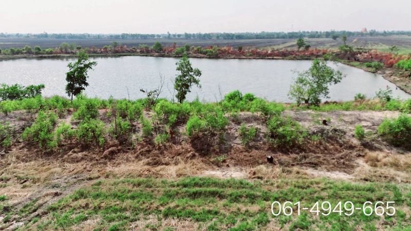 ขายที่ดินเพื่อการเกษตร รูปที่สวยมาก ต.ปากพลี อ.ปากพลี จ.นครนายก ใกล้สถานีรถไฟปากพลี 700 เมตร