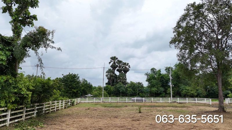 ขายที่สวยหลังแมคโครนครนายก ต.บ้านใหญ่ อ.เมืองนครนายก เดินทางง่าย ใกล้ตัวเมือง เข้าจากถนน4เลนเส้น สาริกา-นางรอง 650 เมตร