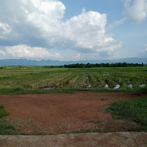 ขายที่ดินทำเลทองเพื่อการลงทุน  อ.เมือง จ.เพชรบูรณ์ เนื้อที่ 20 ไร่ 2 งาน 74 ตรว.