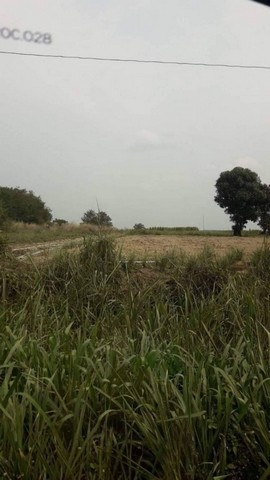 ขายที่ดินแปลงงสวย ทำเลดี สี่แยกเนินโมก อ.บ้านบึง ชลบุรี FP-L0468