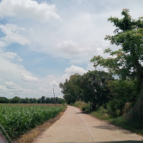 ขายที่ดินตำนาป่า อำเภอเมือง จังหวัดเพชรบูรณ์ ขนาด 12 ไร่ 1 งาน 59 ตร.ว. 