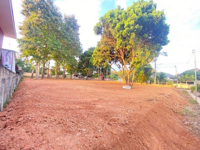 ที่ดินเปล่า ถมแล้ว  ที่สวย แหล่งชุมชน ไม่เปลี่ยว โซนหางดง