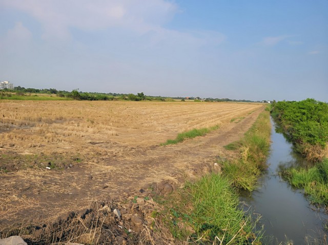 ขายที่ดินติดถนนคลองเก้า 9 หนองจอก กทม ที่ดินสวยติดเหมาะสำหรับทำหมู่บ้านจัดสรรหรือพัฒนาธุรกิจด้านอื่นๆ