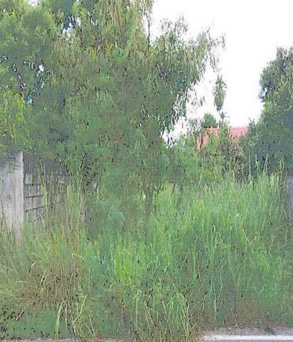 ขายที่ดินว่างเปล่า  ตำบลหนองขาม  อำเภอศรีราชา  ชลบุรี