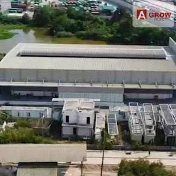 โกดังให้เช่า ติดทางมอเตอร์เวย์ ขนาด 2,100 ตร.ม. สีม่วงลายทำการผลิตได้ ชลบุรี