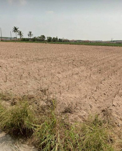 ขายที่ดินบ่อวินศรีราชา ผังสีเหลือง บนเนื้อที่ดิน  18  ไร่ ที่ดินสวยอยู่ในแหล่งความเจริญใจกลางอุตสาหกรรม