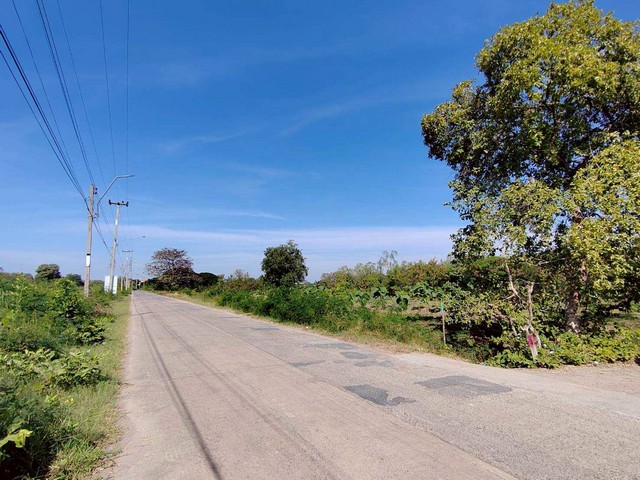 ขายด่วน ที่ดินสวนผัก 4-0-38 ไร่  ใจกลางเมืองนครราชสีมา ใกล้ถนนมิตรภาพ   ZE820