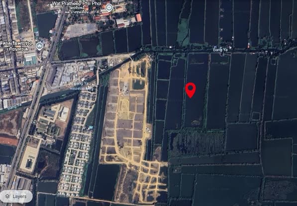 ขายที่ดิน 2 งาน ท่าข้าม (ศรีษะกระบือ) บางขุนเทียน กรุงเทพฯ 