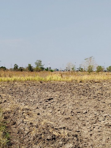 ขายด่วน ที่ดินทำเลทอง 4 - 1 - 43 ไร่  ใกล้ถนนสุรนารายณ์-มอเตอร์เวย์ M6   โคกสูง  เมืองนครราชสีมา  ZE817