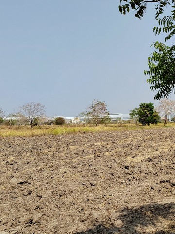 ขายด่วน ที่ดินทำเลทอง 4 - 1 - 43 ไร่  ใกล้ถนนสุรนารายณ์-มอเตอร์เวย์ M6   โคกสูง  เมืองนครราชสีมา  ZE817