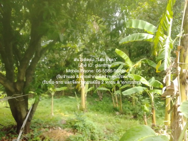   พื้นที่ดิน ขายที่ดินเกษตรกรรมผืนใหญ่ 3-0-27.3 ไร่ ถนนพิบูลสงคราม นนทบุรี 3 ไร่ 0 NGAN 27 ตรว.  ใกล้ ห่างสถานี MRT แยกติวานนท์ ประมาณ 1.8 กม. เยี่ยม!