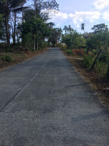 พื้นที่ดิน ที่ดิน หาดหน้าทอน เกาะสมุย ขนาด 36 ตร.วา 0 ngan 11 RAI  33268500 บาท. ราคานี้หาไม่ได้แล้ว ที่ดินสวนมะพร้าว อยู่ติดถนน แปลงมุม มีน้ำ และมีไฟฟ้าเข้าถึงที่ดิน (พร้อมนำไปพัฒนาต่อได้เลย)