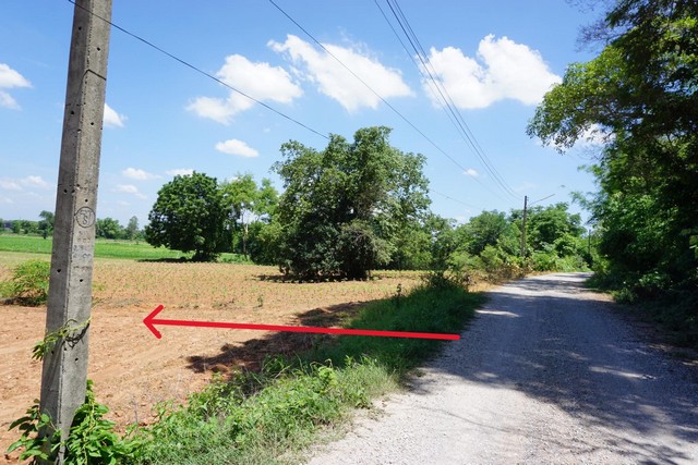 ที่ดินในฝัน วิวเขา ใกล้ธรรมะ ที่ดินวิวเขากะลา 4 ไร่ ทำเลดี เงียบสงบ ใกล้ธรรมชาติ 0934415691โทร.เกริก