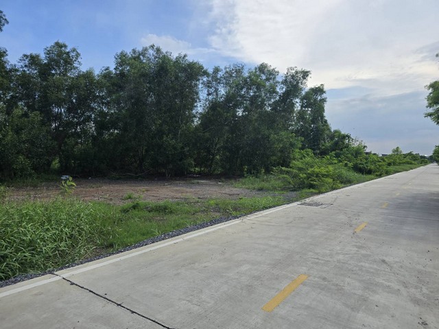 ขายด่วน ที่ดินถมแล้ว คลองสาม ใกล้วัดธรรมกาย 210 ตร.ว กว้าง 25 ม. ลึก 35 ม. เหมาะสร้างบ้าน ที่ดินแปลงสวยรูปสี่เหลี่ยม