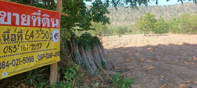 ขายที่ดิน ราคาถูก  64-3-50 ไร่  บ้านน้อย  ต.บ้านยาง อ.วัดโบสถ์ จ.พิษณุโลก