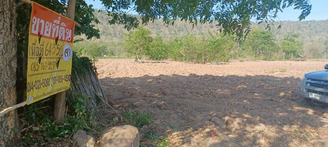 ขายที่ดิน ราคาถูก  64-3-50 ไร่  บ้านน้อย  ต.บ้านยาง อ.วัดโบสถ์ จ.พิษณุโลก