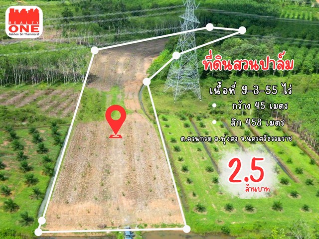 ที่ดินสวนปาล์มปลูกใหม่ พื้นที่ขนาดใหญ่ เหมาะสำหรับต่อยอดธุรกิจหลากหลายรูปแบบ