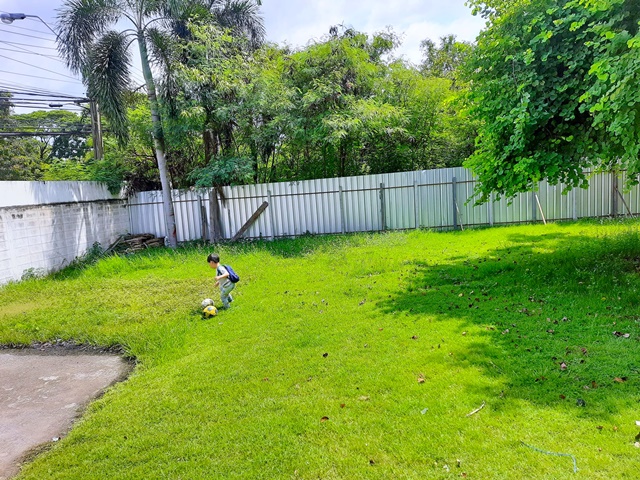 เมกะ บางนา 2.6 กม. ตลาดกิ่งแก้ว 1.2กม. ให้เช่า-ขาย คฤหาสน์ 2 ชั้น 150 ตร.วา. 350ตร.ม. 3-5นอน พร้อมเฟอร์ บางนา-ตราด กิ่งแก้ว