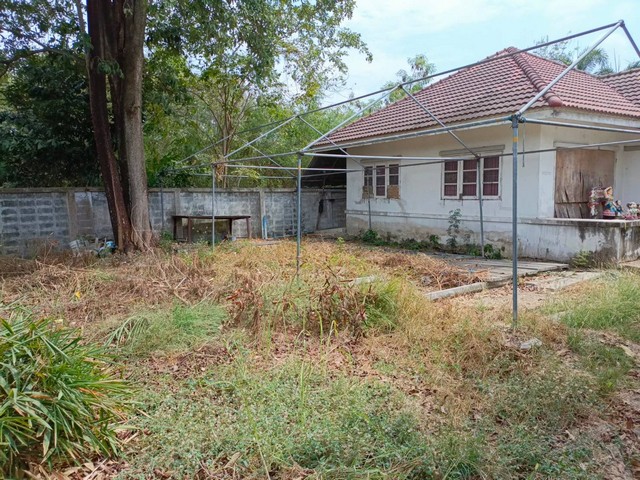  ขายที่ดินแถมบ้าน ม.เลคไซด์ ลำลูกกา คลอง 9 ตำบลบึงทองหลาง  เหมาะสำหรับอยู่อาศัย หรือปลูกสร้างเพิ่มเติม