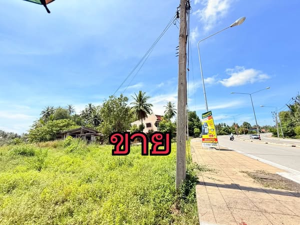 ขาย:ที่ดิน สวย ทำเลทอง โอกาสดี ทำเลทอง ที่ดินติดถนนใหญ่