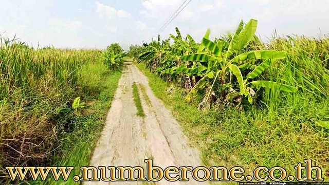 SALE ขาย พื้นที่ดิน - 750000 THAI BAHT  140 SQ.WA   เข้าออกได้หลายทาง