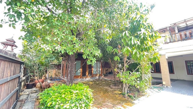 ขายบ้านหรูสไตล์คลาสสิกหลังใหญ่ มบ.มณียา 3 ท่าอิฐ 125.9 ตร.วา ตกแต่งด้วยไม่สัก-ไม้ประดู่ พร้อมสวนร่มรื่นและความเงียบสงบเป็นส่วนตัว