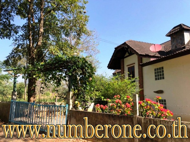 บ้าน ถ.หนองกะจะ ใหญ่ 0 RAI 1 NGAN 9 Square Wah 2500000 บ.   ราคาเดียว ตกแต่งพื้นชั้นล่างด้วยกระเบื้อง ตกแต่งพื้นชั้นบนด้วยปาร์เก้ โครงสร้างแข็งแรง มีพื้นที่ใช้สอยกว้างขวาง สามารถจอดรถได้หลายคัน  หน้าบ้านหันทางทิศตะวันตกเฉียงใต้ มีสาธารณูปโภคครบครัน บ