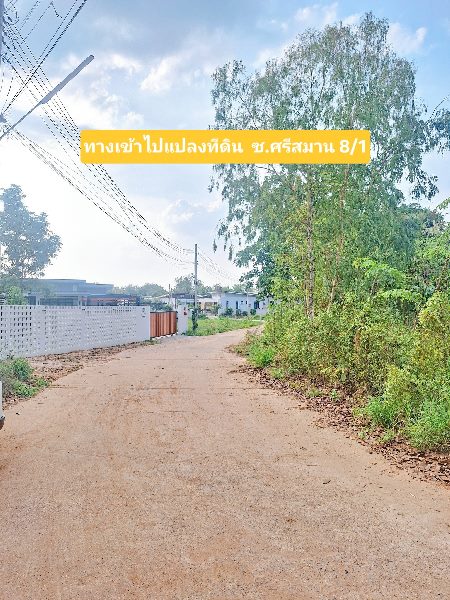 ขายที่ดินทำเลทอง! ซอยบ้านโนนม่วง ใกล้ มข. เพียงไม่กี่นาที เหมาะสำหรับปลูกบ้าน หอพัก หรือทำธุรกิจเดินทางสะดวก