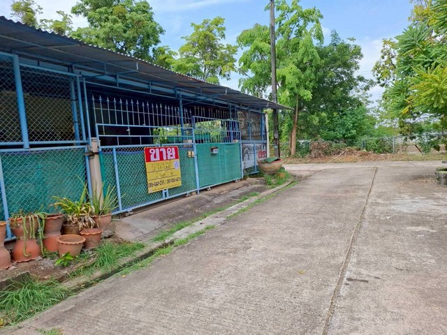 ขายบ้านเคหะ 56 ตร.วา ถนนหนองคาย-โพนพิสัย หาดคำ  เมืองหนองคาย