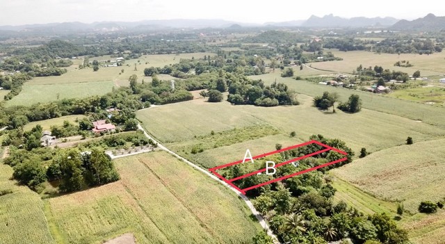 ขายที่ดิน 2 ไร่ ถมแล้ว มีบ้าน มีสระน้ำ ติดถนนคอนกรีต กว้างถึง 36 ม. ต.เขาดินพัฒนา อ.เฉลิมพระเกียรติ จ.สระบุรี