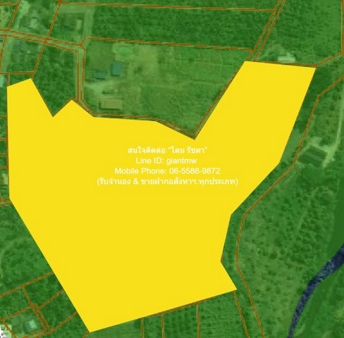 ที่ดิน ขายที่ดินเปล่า หนองหญ้าปล้อง จ.เพชรบุรี (ใกล้ทางหลวง 3510 และ 1015) 32-0-76 ไร่ ราคา 17 ล้านบาท  17000000 THAI BAHT  ขนาดเท่ากับ 12876 ตรว. ไม่ไกลจาก ห่าง เซ็นทรัลพระราม 2 ประมาณ 110 กม. สภาพเยี่ยม