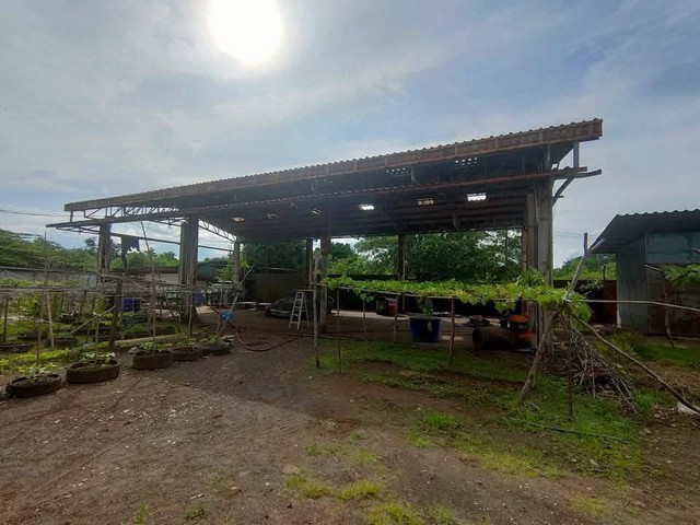 ขายโกดังสำนักงานสามพรานนครปฐม  5 ไร่ 3 งาน 36 ตร.วา  พื้นที่สีเหลือง  มีใบรง. 4