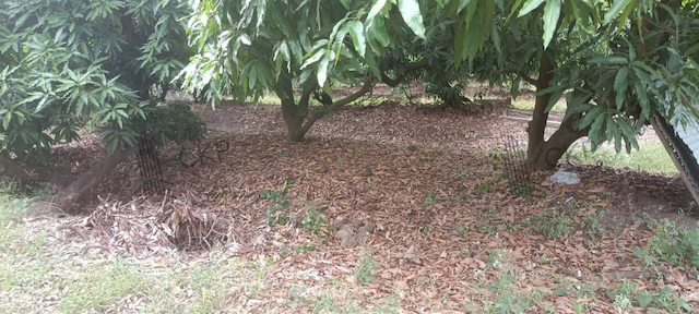 ที่ดินเปล่า ขนาด 3 ไร่ ตรงข้ามสิงห์เบเวอเรช ต.บัวปากท่า อ.บางเลน นครปฐม