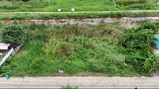 ที่ดินเปล่า แปลงสวย 2 แปลงติดกัน 120 ตารางวา คลองสี่ - คลองหลวง