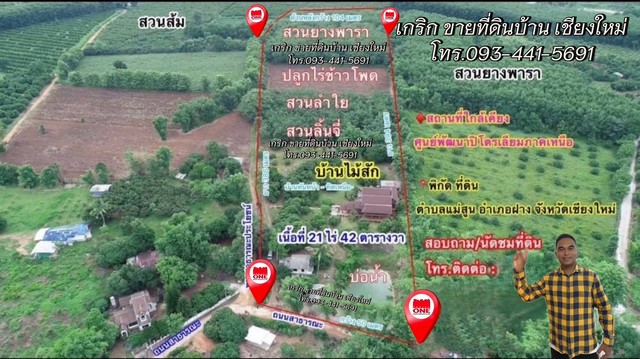 ขายด่วน! บ้านเรือนไทยไม้สัก + ที่ดิน 21 ไร่ 1 งาน อ.ฝาง จ.เชียงใหม่  ราคารวม8.9ล้าน โทร0934415691