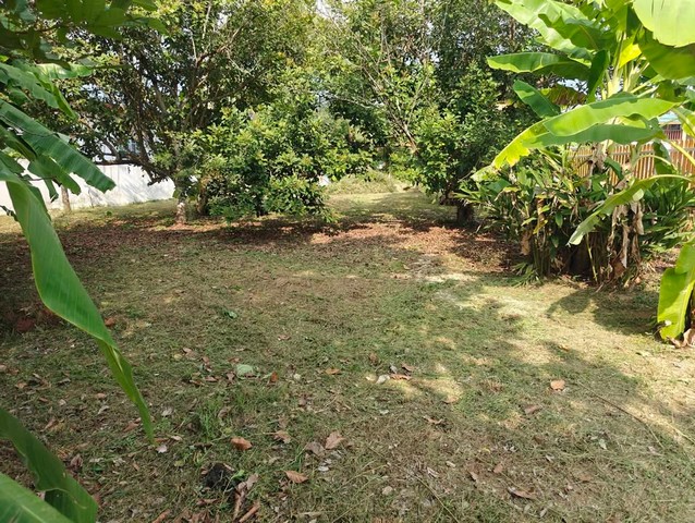 บ้านเดี่ยวสภาพเดิมภูเก็ต 274วา 3ห้องนอน 4ห้องน้ำ ใกล้โรบินสัน ถลาง