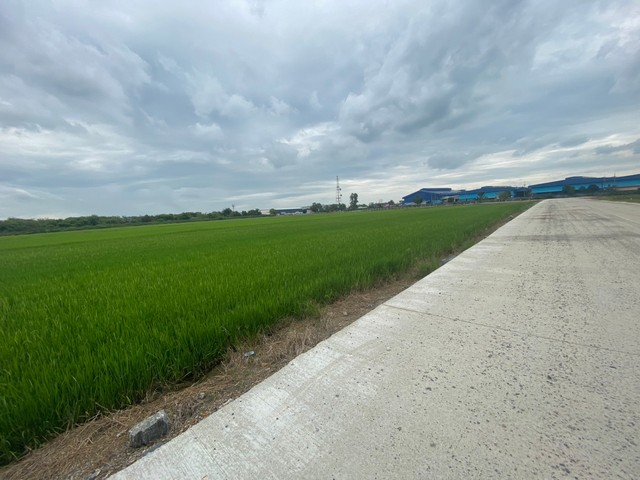 ขายที่ดิน 15-20 ไร่ หน้ากว้าง ผังม่วง  อ.เมือง ฉะเชิงเทรา เขตEEC เหมาะสร้างโรงงาน