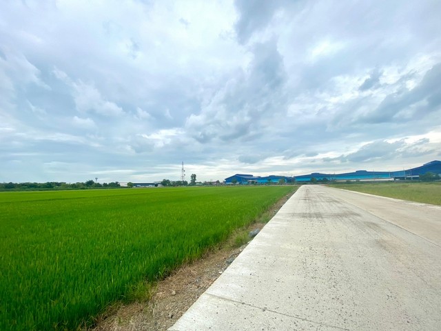 ขายที่ดิน 15-20 ไร่ หน้ากว้าง ผังม่วง  อ.เมือง ฉะเชิงเทรา เขตEEC เหมาะสร้างโรงงาน