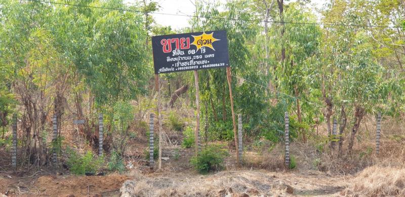 ที่ดินปล่าว  4 โฉนด   68 ไร่   ติดหน้าถนนใหญ่เส้นสกลนคร-นครพนม  หน้ากว้าง250เมตร ตำบลนาแก้ว   อำเภอ. โพนนาแก้ว   จังหวัด. สกลนคร