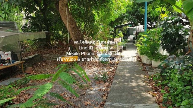 รหัส:  DSL-671 Sale พื้นที่ดิน ขายที่ดินบ้านสวนแปลงใหญ่ ใจกลางเมือง เนื้อที่ 493 ตร.ว. (ใกล้ MRT พระราม 9) 120 ล้านบาท  120000000 thb   สภาพแวดล้อม-ดี