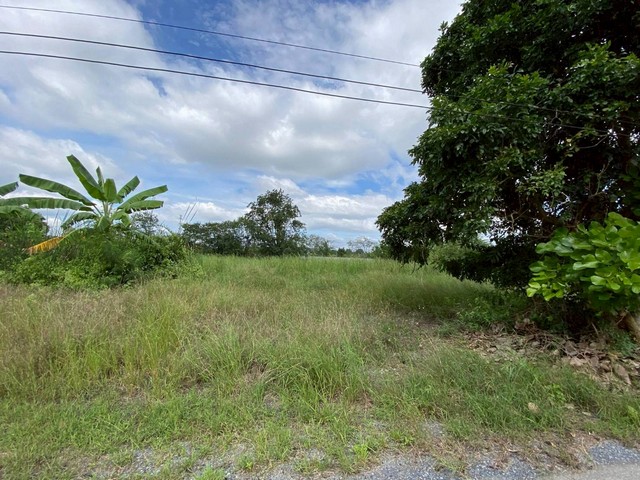 ขายที่เปล่า..ปากทางขึ้นเขาใหญ่ ห่างถ.มิตรภาพเพียง600เมตรต.ขนงพระ อ.ปากช่องจ.นครราชสีมา