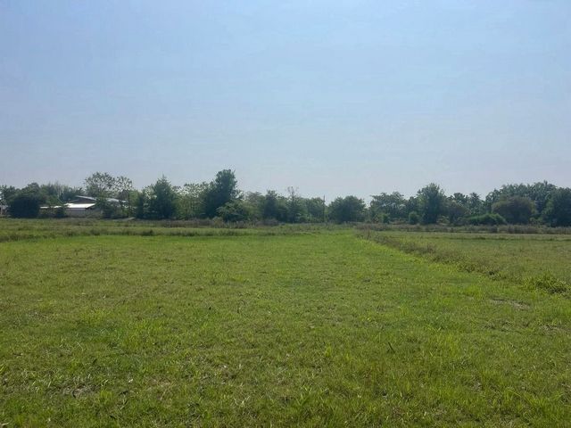 ขายที่ดิน 4,125,000 บาท #ขายต่ำกว่าราคาประเมิน ในโครงการนภาธานี | #หางดง บรรยากาศสงบ เพื่อนบ้านไม่หนาแน่น หรือซื้อไว้ลงทุน