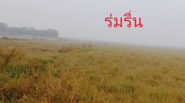 หน้าฝนมีทรัพย์ดีเสดชื่นหัวใจ ขายที่ดิน 4ไร่เศษ ติดถนนคอนกรีต ต.มหาราช อ.มหาราช จ.อยุธยา