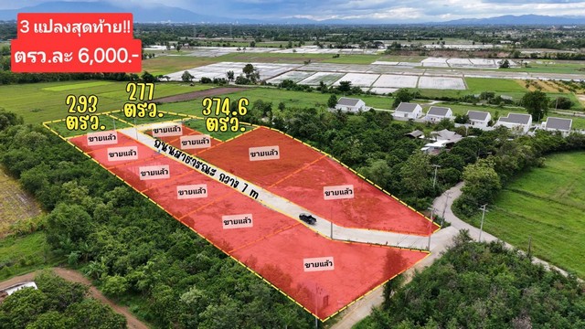 ขายที่ดินจัดสรรเริ่ม 277ตรว. 1.66ลบ. ฟรีโอน วิวเขา สาธารณูปโภค ใกล้เทศบาล ต.บวกค้าง อ.สันกำแพง เชียงใหม่