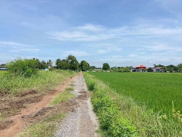 เปิดจองแล้ววันนี้ ที่ดินสวยคลอง6 คลองหลวง ห่าง ถ.เลียบคลองหก 200 เมตร ขนาด 50 ตรว.