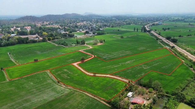 ขายที่ดินโฉนดครุฑแดง  ต.ชำแระ อ.โพธาราม จ.ราชบุรี เนื้อที่รวม  19-03-93.3 ตร.ว. 