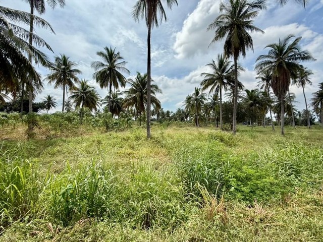 ปล่อยเช่าที่ดินบึง ศรีราชา ใกล้นิคมแหลมฉบัง แปลงสวย ทำเลดี FP-0644 