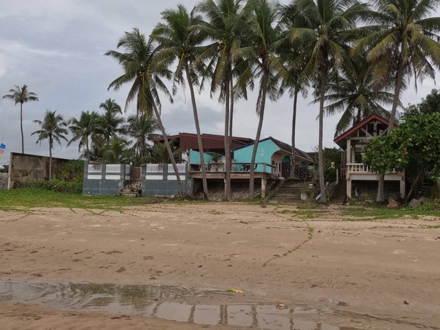 หน้าฝนมีทรัพย์ดีเสดชื่นหัวใจ ขายที่ดินริมหาดสะพลีทรายขาวน้ำใสคราม สวยงามวิวทะเลธรรมชาติสุดสุด ปะทิวใกล้หาดสวยทุ่งวัวแล่น  