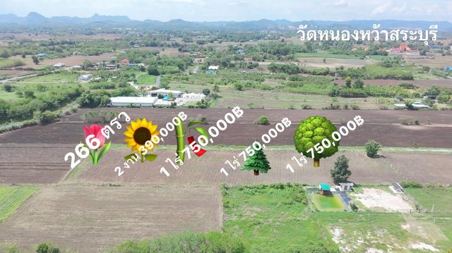 ขายที่ดินราคาถูก1ไร่ โฉนดครุฑแดง พร้อมโอนกรรมสิทธิ์ ขายที่ดินสระบุรี ตำบลเขาดินพัฒนา