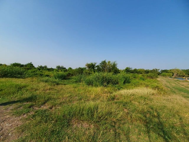 ขายที่ดินข้างศูนย์ราชการใหม่ของนครปฐม ราคาถูกสุดในย่านนี้...ทำเลทอง